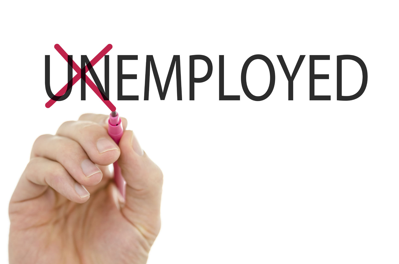 Do car insurance companies check employment status?